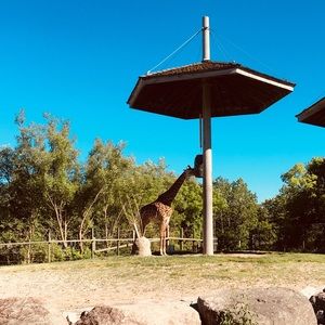 Meet your Posher, Marian